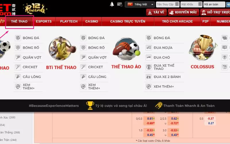 review-dua-cho-truc-tuyen